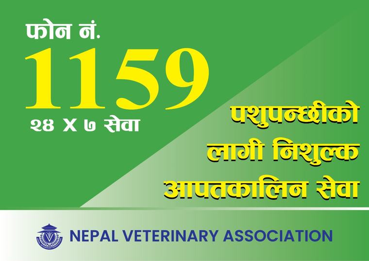 पशु उद्धारका लागि भेटेरिनरी एसोसिएसनले सुरु गर्यो २४ घण्टे हटलाइन सेवा
