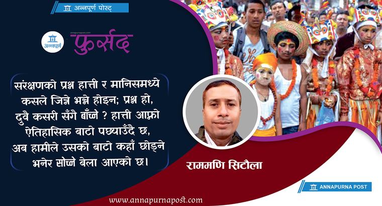 मृत्युको महाप्रस्थानमा जीवनको उत्सव
