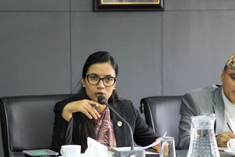 विपद् व्यवस्थापन र पूर्वतयारीलाई केन्द्रमा राखेर कानुन पुनरावलोकन गरिने: मन्त्री गौतम