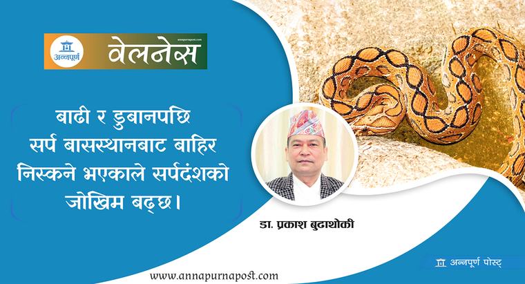 बाढी प्रभावित क्षेत्रमा सर्पदंशको डर
