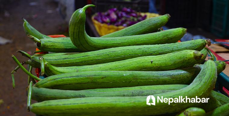 कालीमाटीमा घिरौँलाको भाउ किलोको २० रुपैयाँ मात्रै